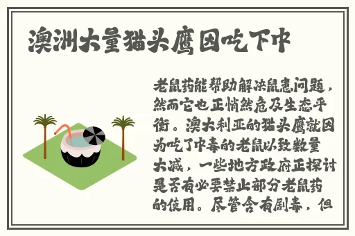 海棠搜什么关键词